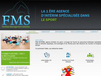 fmsinterim.fr website preview