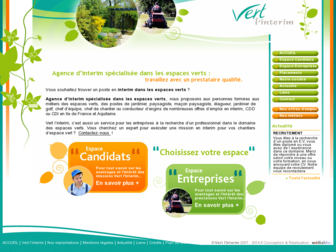 vert-interim.com website preview