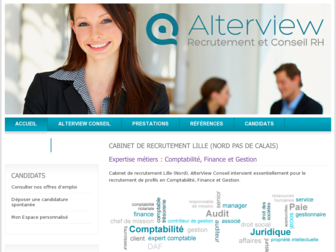 alterview-conseil.com website preview