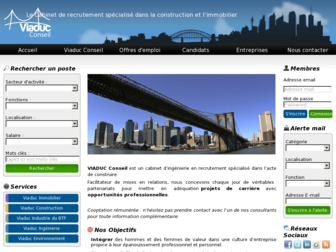 viaduconseil.fr website preview