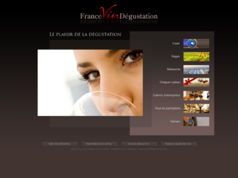 francevindegustation.com website preview