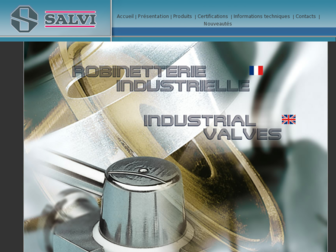 salvi-valves.com website preview