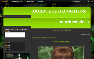 morduededeco.over-blog.com website preview