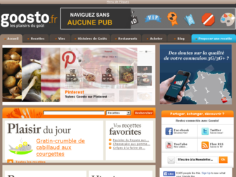 goosto.fr website preview