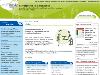 carrefour-emploi-public.fr website preview