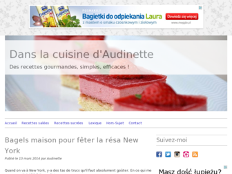 audinette.com website preview