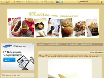 noviceencuisine.over-blog.com website preview