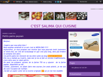 cestsalimaquicuisine.over-blog.com website preview