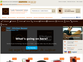 toc.fr website preview