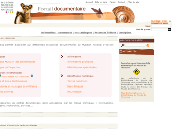 mussi.mnhn.fr website preview