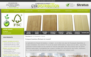 cyr.fr website preview