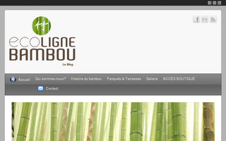 blog.ecoligne-bambou.com website preview