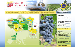 vinsdepays-valdeloire.com website preview