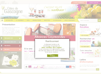 vins-cotes-gascogne.fr website preview