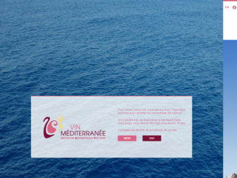 vin-de-mediterranee.org website preview