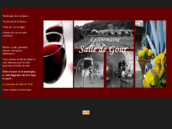 vin-cevennes.com website preview