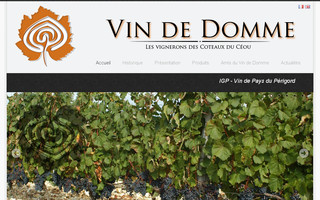 vindedomme.fr website preview