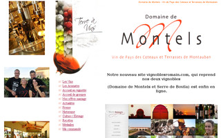 domaine-de-montels.com website preview