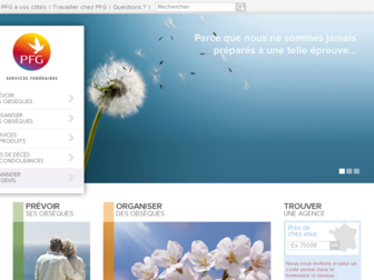 pfg.fr website preview