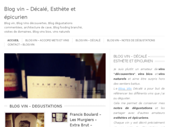 blog-vin.fr website preview