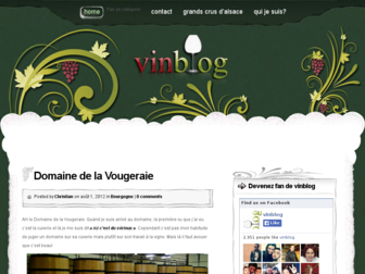 vinblog.fr website preview