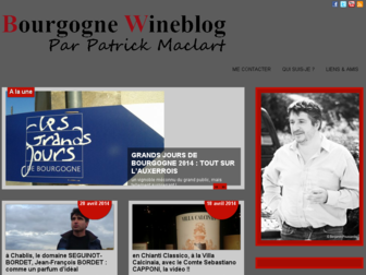 bourgogne-wineblog.com website preview