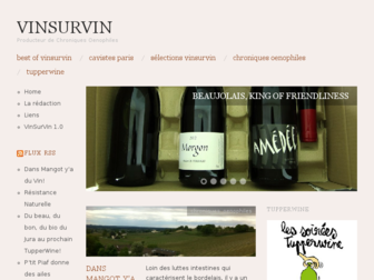 vinsurvin-blog.com website preview