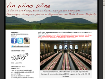 vinwinowine.com website preview