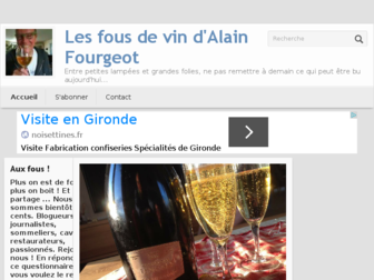 fou-rgeot-de-vin.com website preview