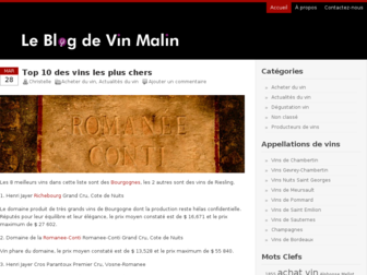 blog.vin-malin.fr website preview