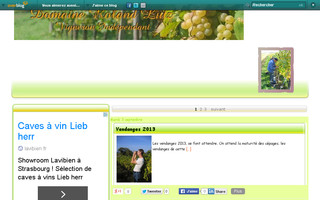 vins.alsace.lutz.over-blog.com website preview