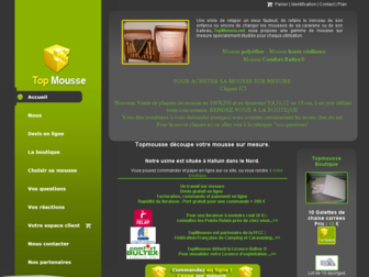 topmousse.net website preview