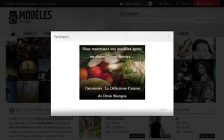 modeles-bretagne.info website preview