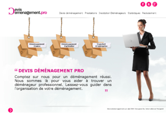 devisdemenagement.pro website preview