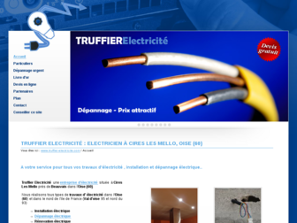 truffier-electricite.com website preview