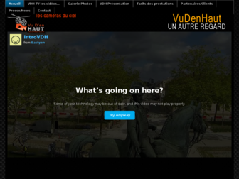 vudenhaut.fr website preview