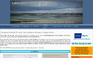 labo-gris-souris.com website preview