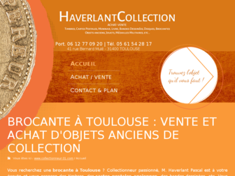 collectionneur-31.com website preview