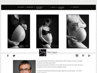 fr.thierryseguin.com website preview