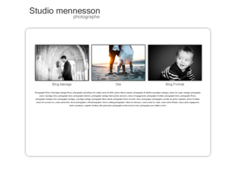 studiomennesson.fr website preview