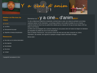 yacinedanim.fr website preview