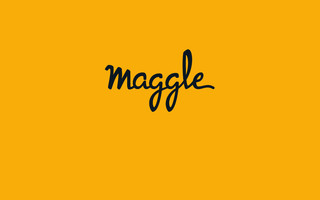 maggle.fr website preview