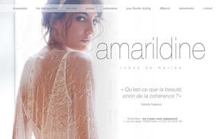 amarildine.com website preview