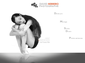 davidherrero.com website preview