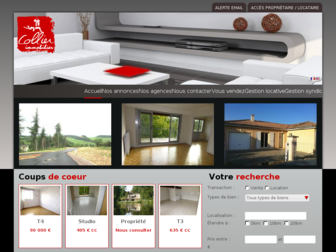 collier-immobilier.com website preview