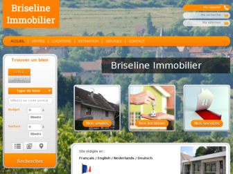 briseline.com website preview