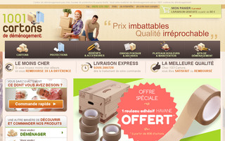1001cartons-demenagement.com website preview