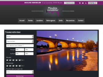 moulinsimmobilier.fr website preview
