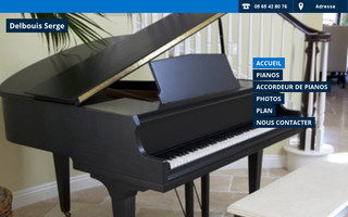 delbouis-piano-rodez.fr website preview