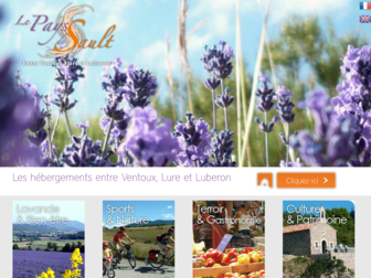 saultenprovence.com website preview